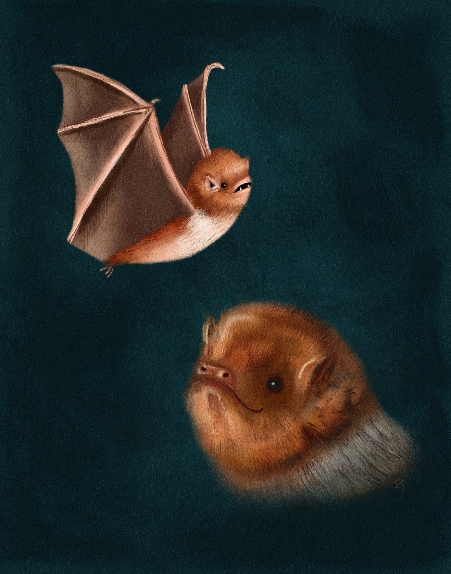 Bat to School Photos